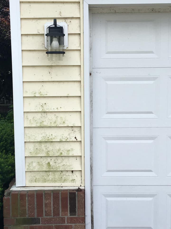 Business queued-photos - Refresh Exterior Cleaning Services