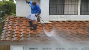 Business queued-photos - Lone Dove Pressure Washing
