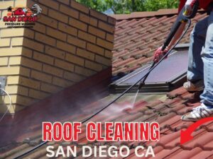 Business queued-photos - Lone Dove Pressure Washing