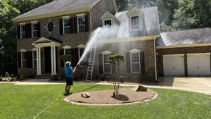 Business queued-photos - Bluewhale Powerwash LLC