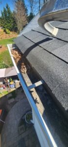 Business queued-photos - Bluewhale Powerwash LLC