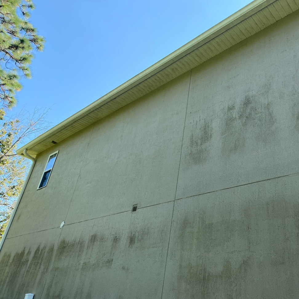 Business queued-photos - Xterior Care Professionals