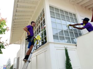 Business queued-photos - Sunshine Window Cleaning and Services
