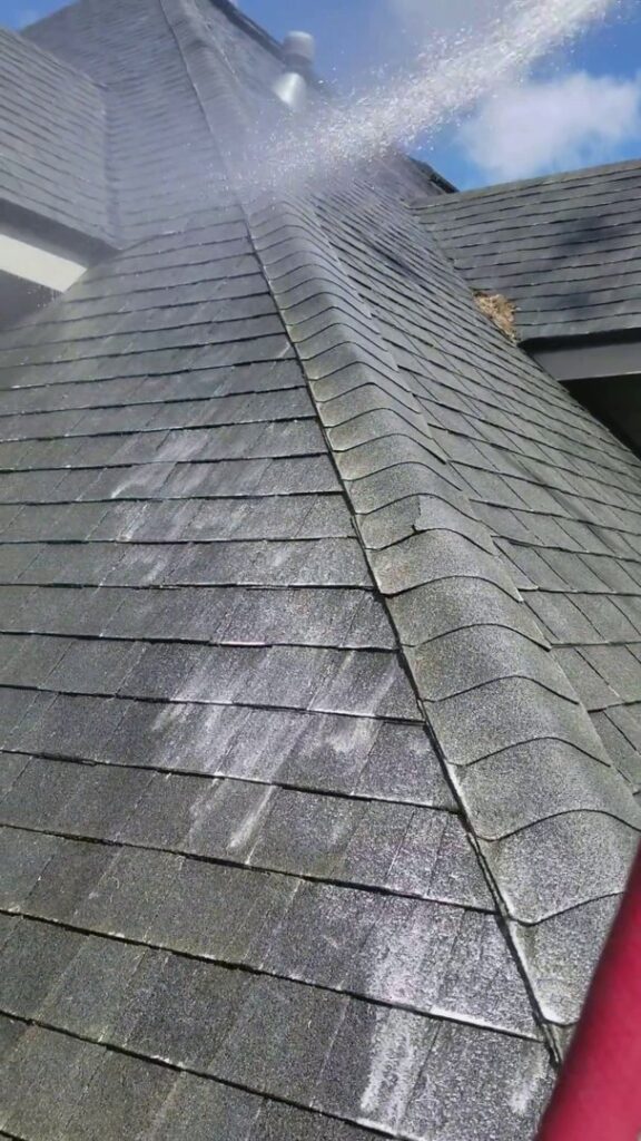 Business queued-photos - Ohana Pressure Washing, Inc.