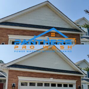 Business queued-photos - Panther Power Washing