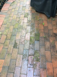 Business queued-photos - Tarheel pressure washing