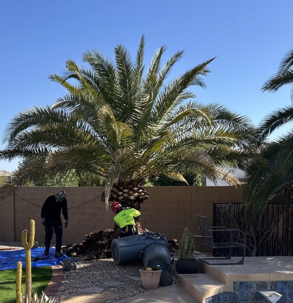 Business queued-photos - Greenway Tree Service LLC