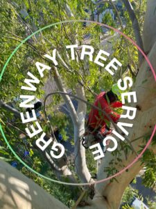 Business queued-photos - Greenway Tree Service LLC