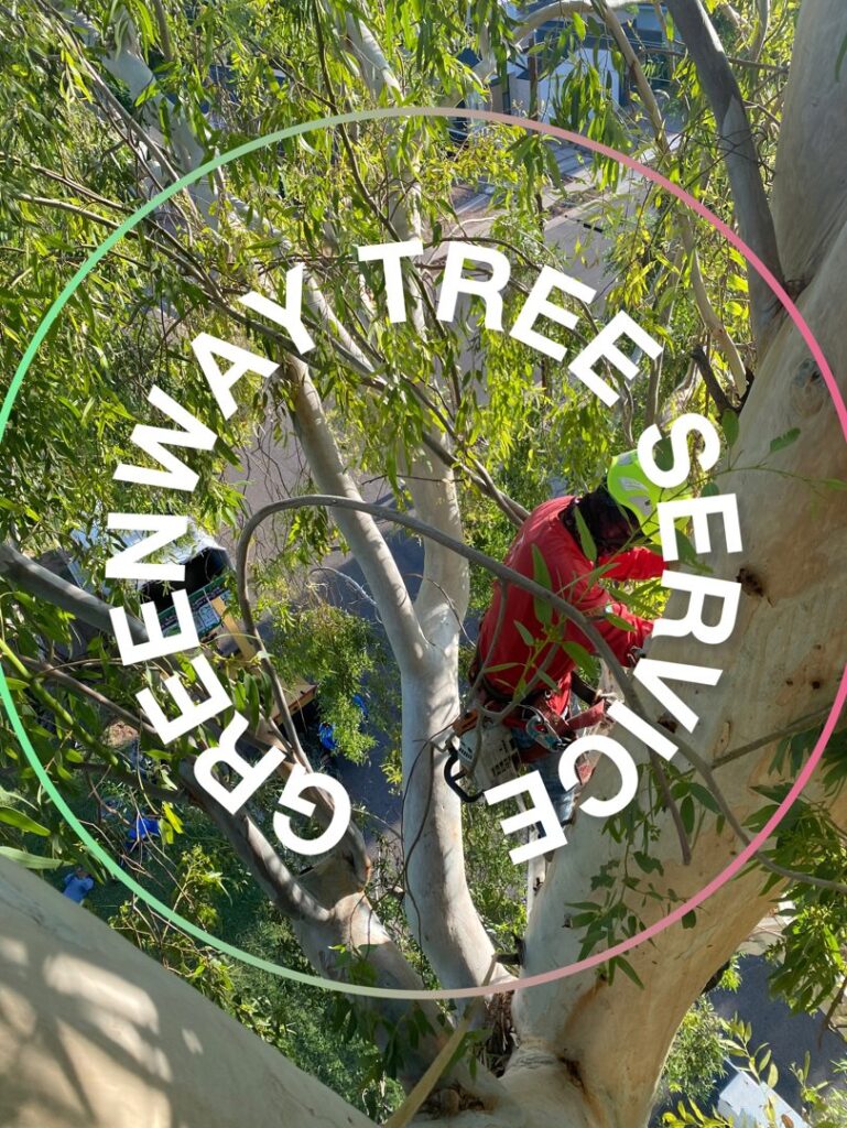 Business queued-photos - Greenway Tree Service LLC