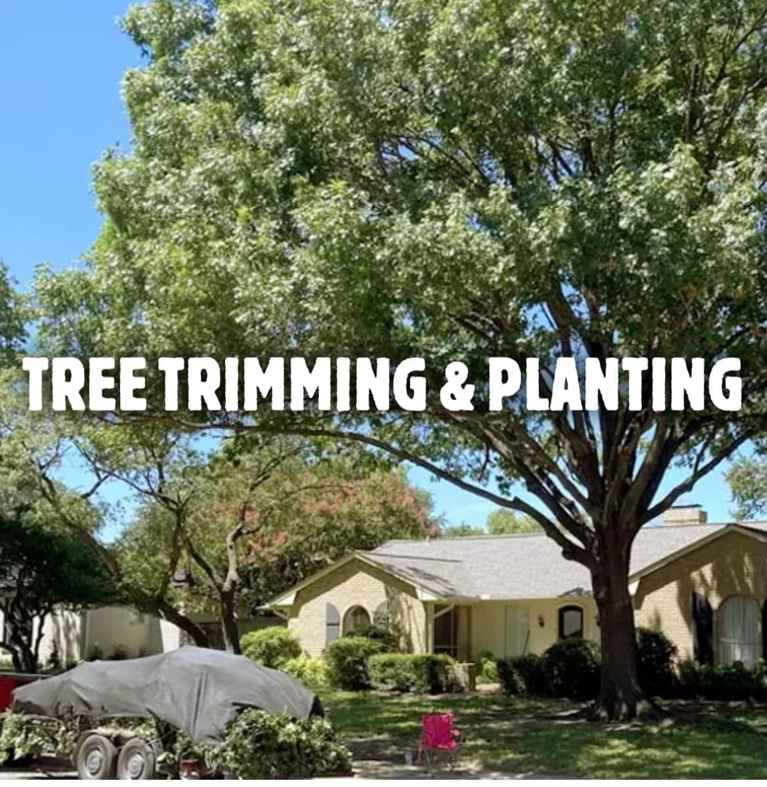 Business queued-photos - Big E’s Tree Service