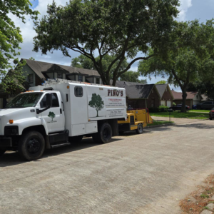Business queued-photos - Pino’s Tree Service