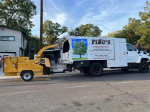 Business queued-photos - Pino’s Tree Service