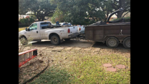 Business queued-photos - Young’s Tree Service