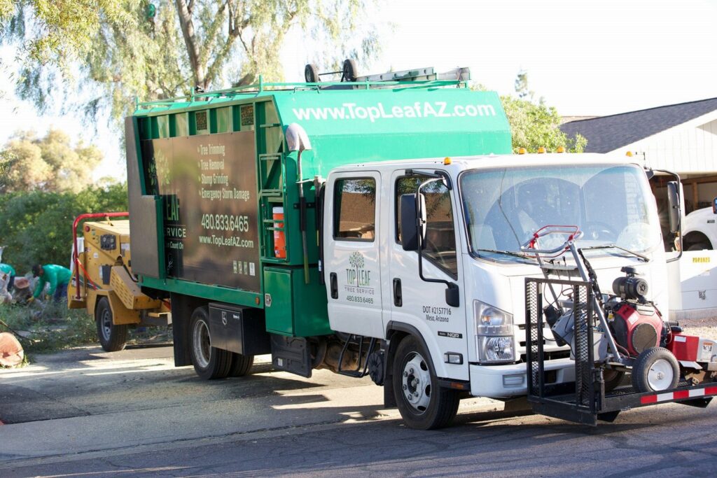 Business queued-photos - Top Leaf Tree Service