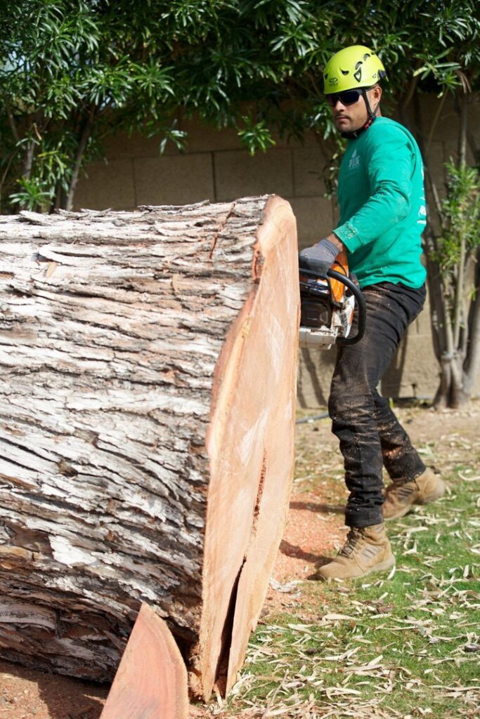Business queued-photos - Top Leaf Tree Service