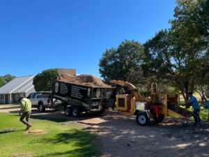 Business queued-photos - A Good Morning Tree Service