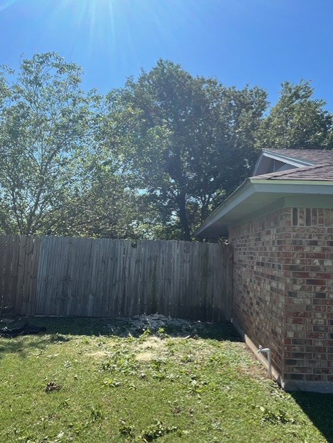 Business queued-photos - A Good Morning Tree Service