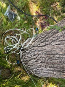 Business queued-photos - A Good Morning Tree Service