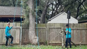 Business queued-photos - A Good Morning Tree Service