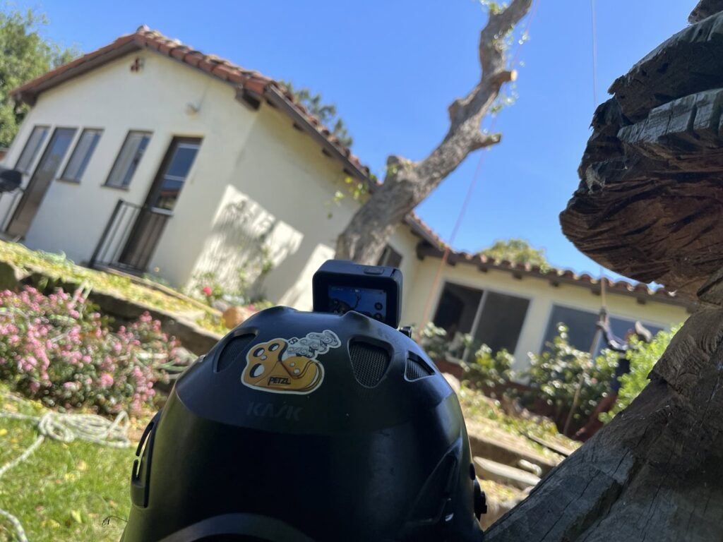 Business queued-photos - Mont Tree Service & landscape