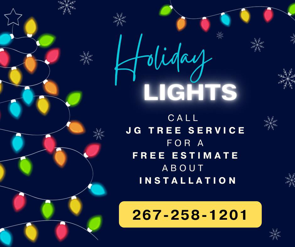 Business queued-photos - JG Tree Service