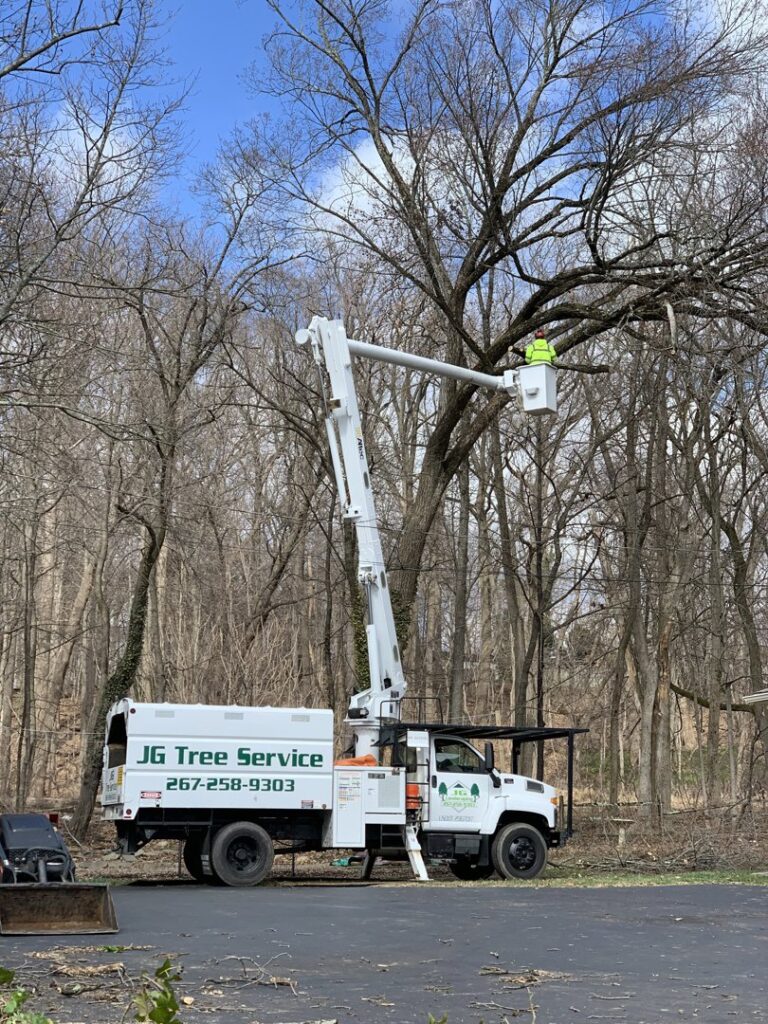 Business queued-photos - JG Tree Service