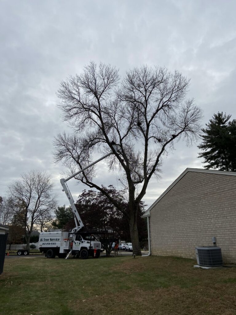 Business queued-photos - JG Tree Service