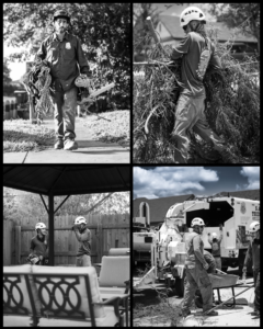 Business queued-photos - S.A. Total Tree Service