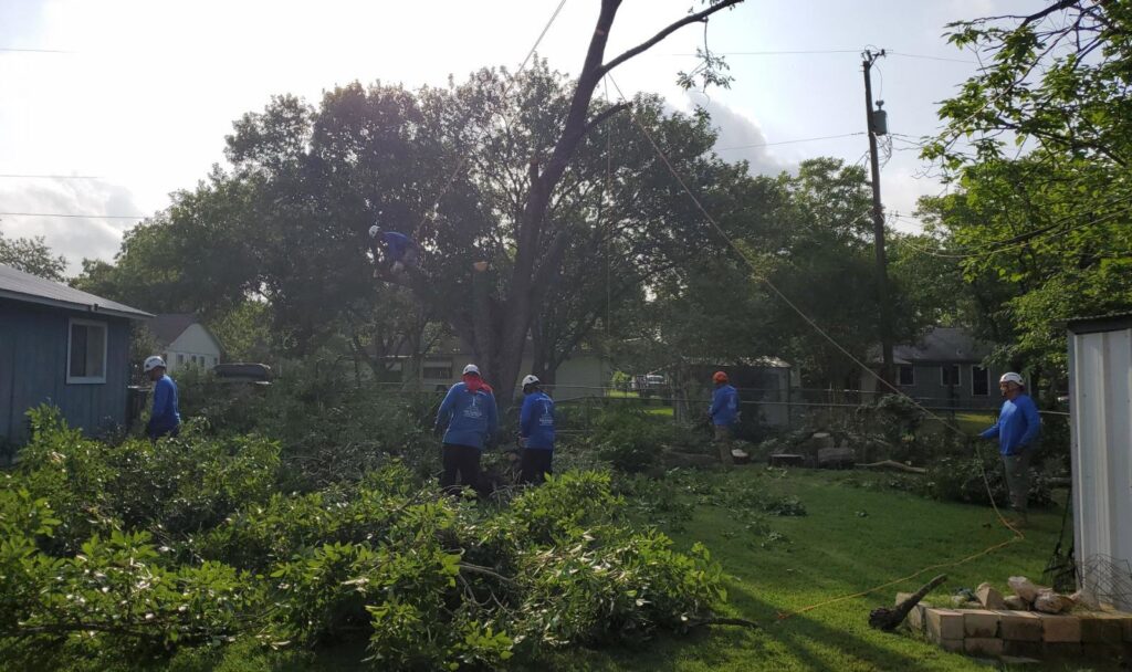 Business queued-photos - S.A. Total Tree Service