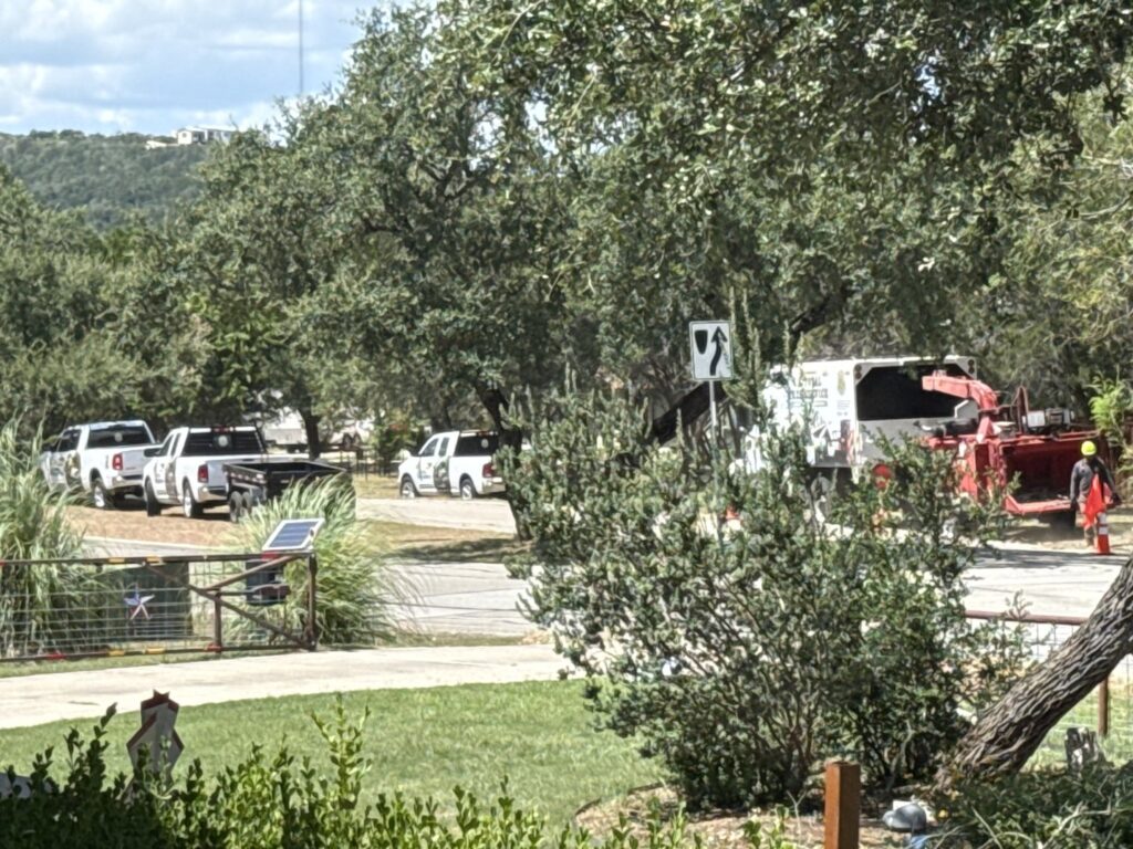 Business queued-photos - S.A. Total Tree Service