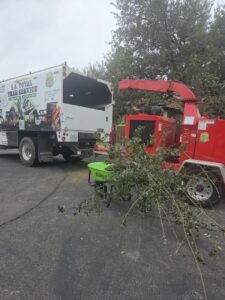 Business queued-photos - S.A. Total Tree Service