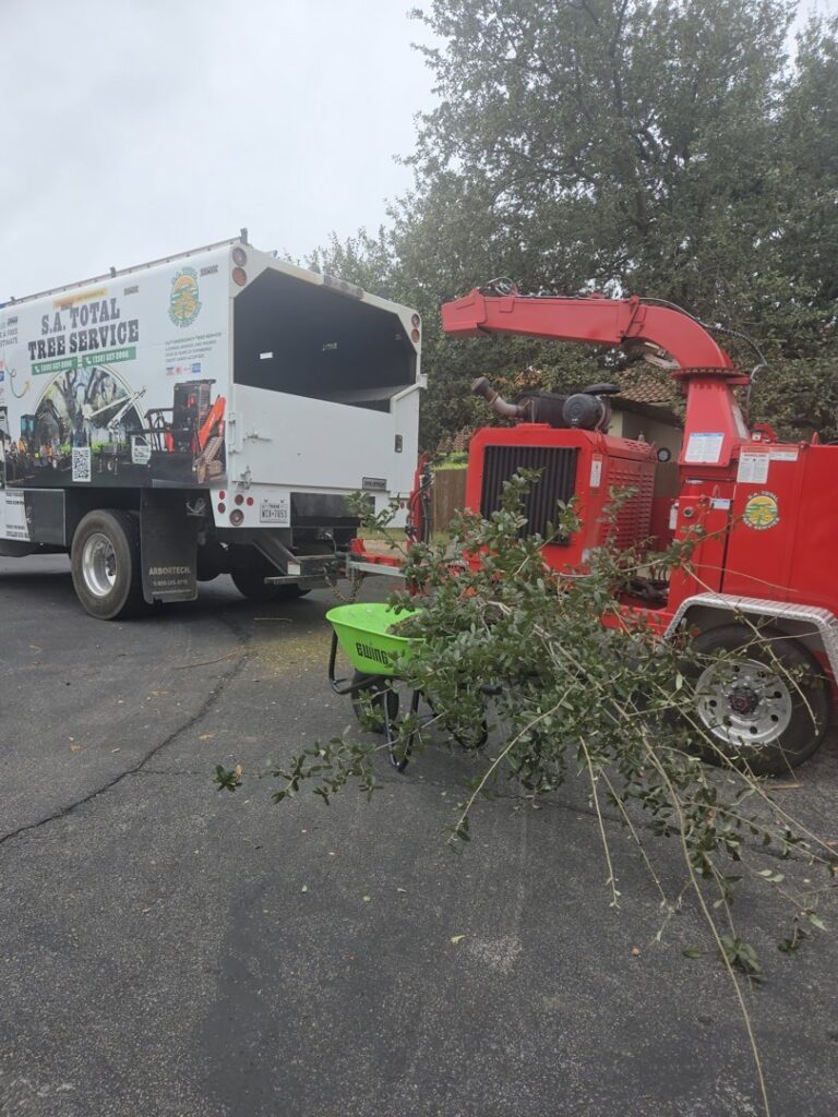 Business queued-photos - S.A. Total Tree Service