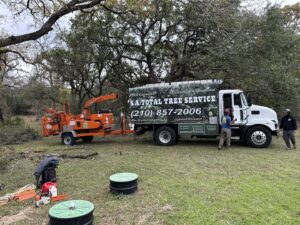 Business queued-photos - S.A. Total Tree Service