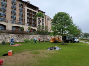 Business queued-photos - S.A. Total Tree Service