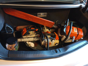 Business queued-photos - Roy L. Schwartz & Son Tree Service