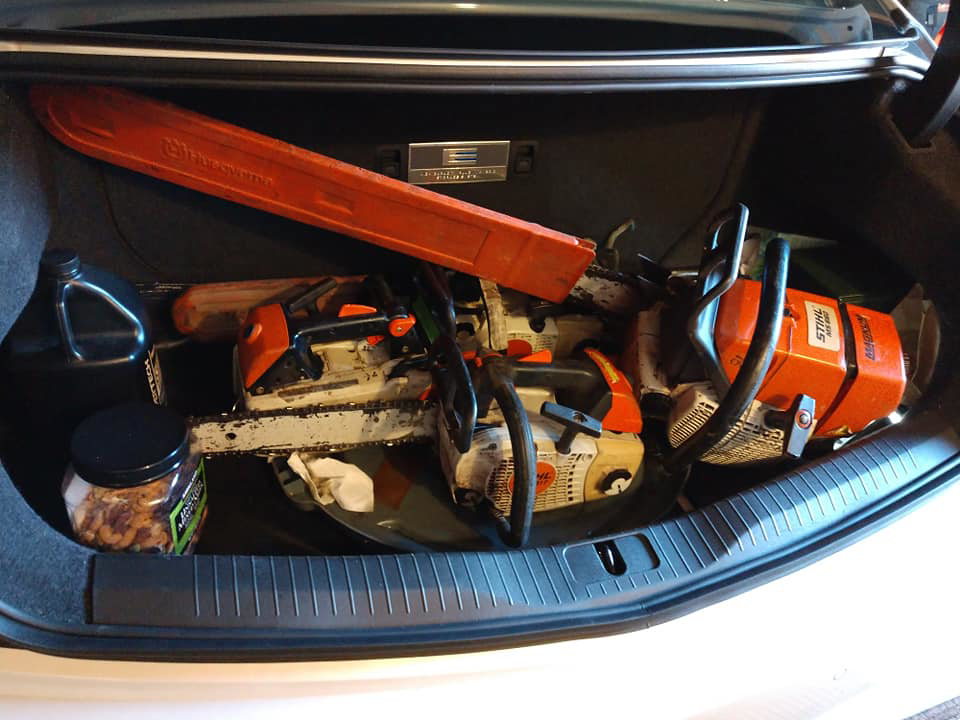 Business queued-photos - Roy L. Schwartz & Son Tree Service