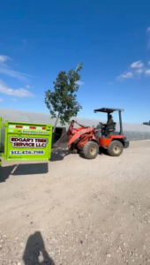 Business queued-photos - Edgar’s Tree Service LLC