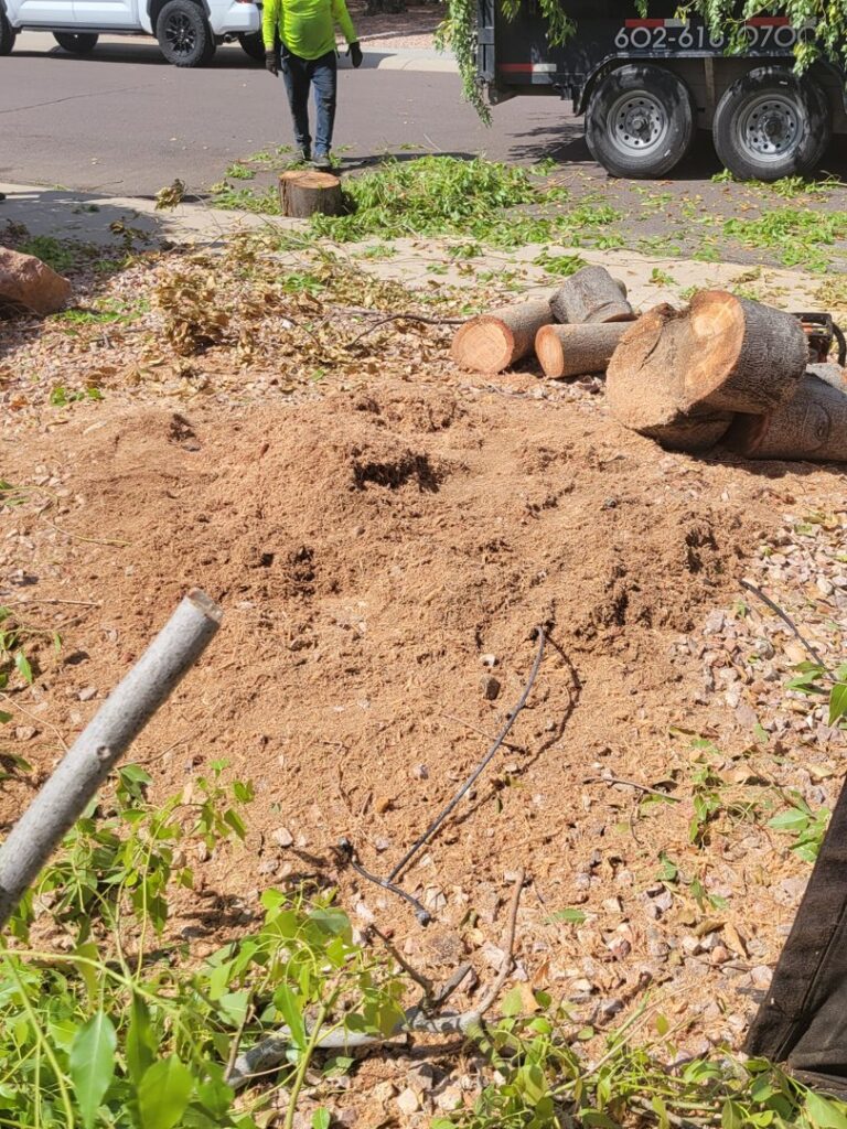 Business queued-photos - Javelina Tree Work