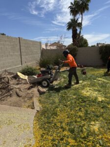 Business queued-photos - Javelina Tree Work