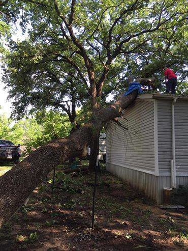 Business queued-photos - Horton Tree Service