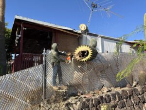 Business queued-photos - The Tree Guy