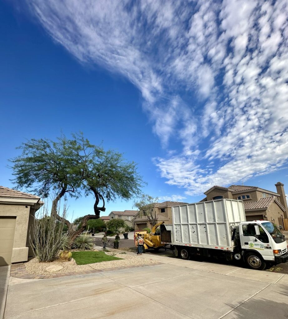 Business queued-photos - The Tree Guy
