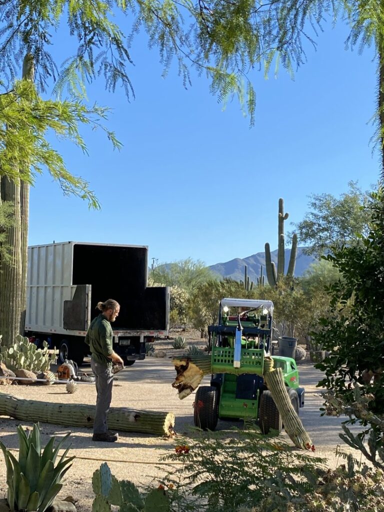 Business queued-photos - The Tree Guy