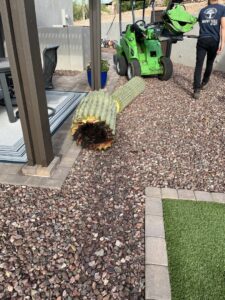 Business queued-photos - The Tree Guy