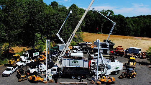 Business queued-photos - Rick’s Expert Tree Service, Inc