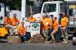 Business queued-photos - Rick’s Expert Tree Service, Inc