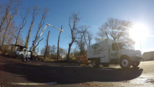 Business queued-photos - Rick’s Expert Tree Service, Inc