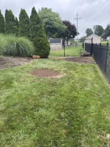 Business queued-photos - Rick’s Expert Tree Service, Inc