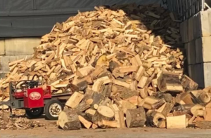 Business queued-photos - MGC Landscaping & Tree Service