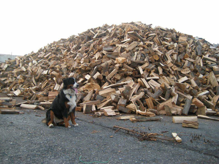 Business queued-photos - MGC Landscaping & Tree Service